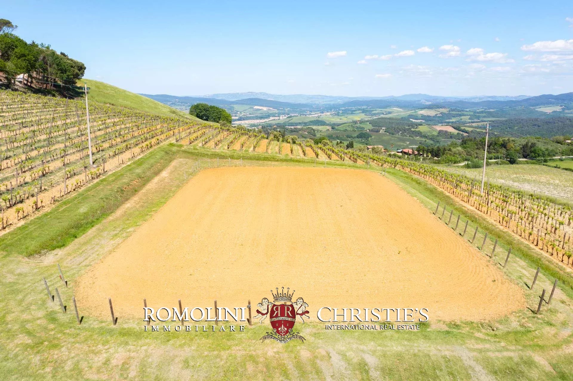 EQUESTRIAN SEA VIEW WINE ESTATE WITH VINEYARDS FOR SALE CLOSE TO BOLGHERI, TUSCANY