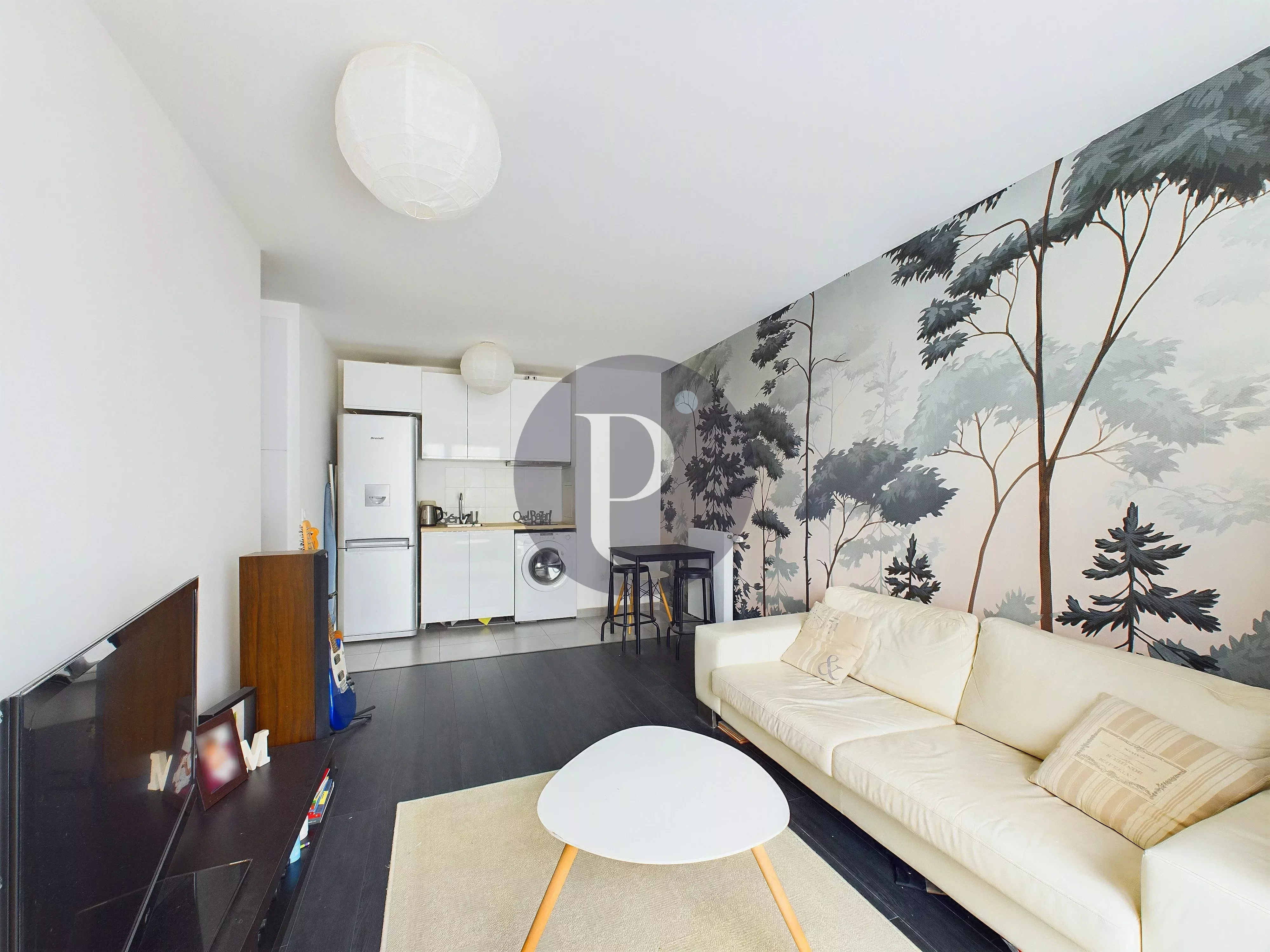 vente-appartement-2-pieces-chatenay-malabry-86922131