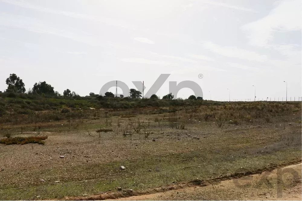 Terreno Industrial para construção no Parque Industrial Sapec Bay - Setúbal