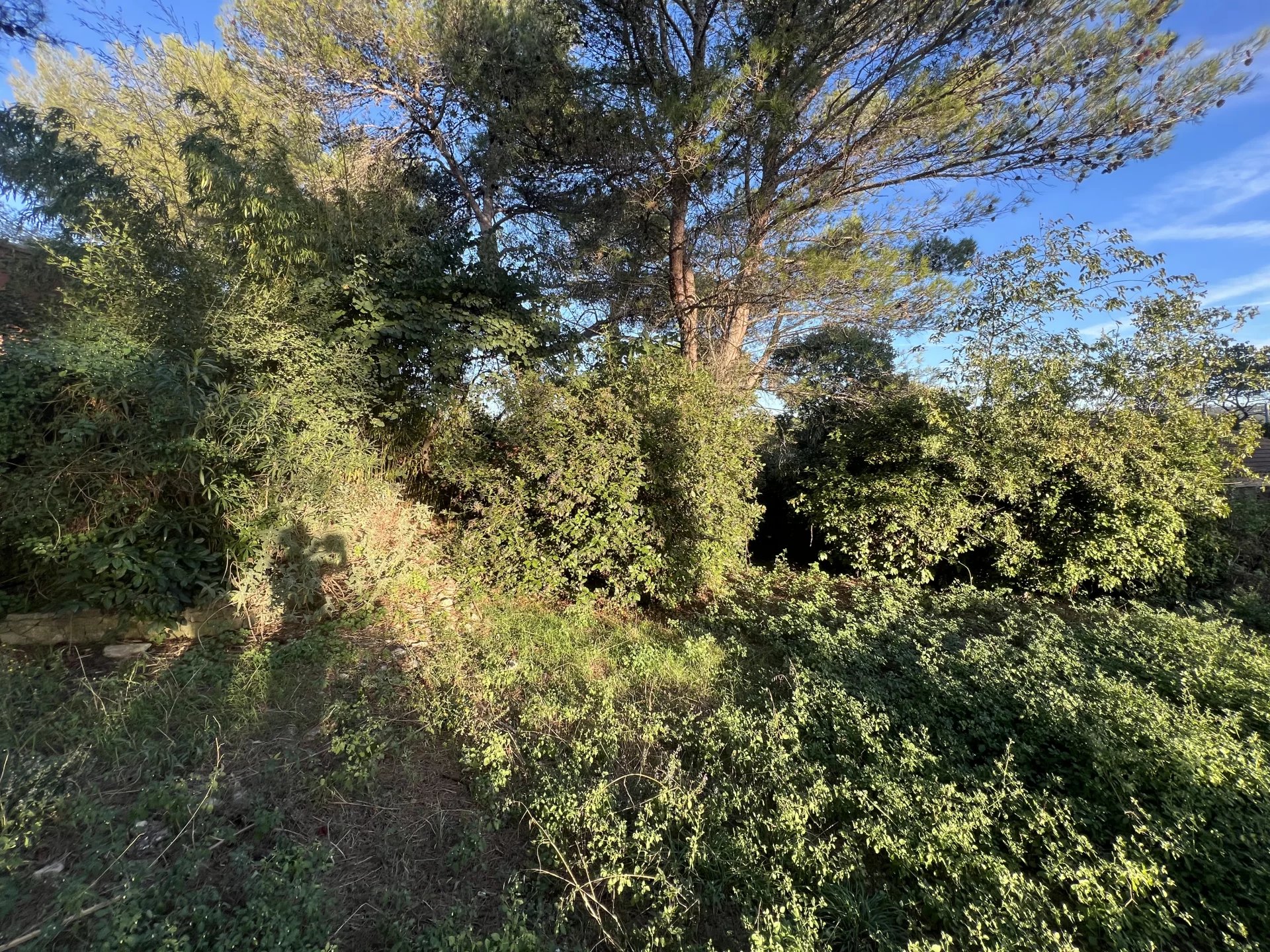 Agence immobilière de Pragout Immobilier