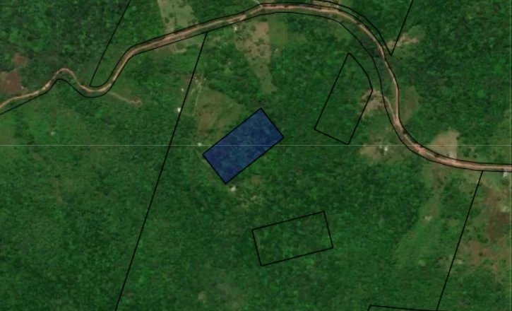 Dpt GUYANE, à vendre ROURA Terrain de 20000 m²