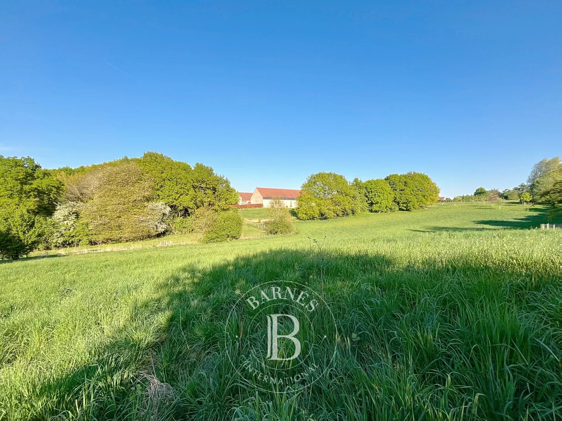 Exceptional plot for a prestigious villa in Lasne