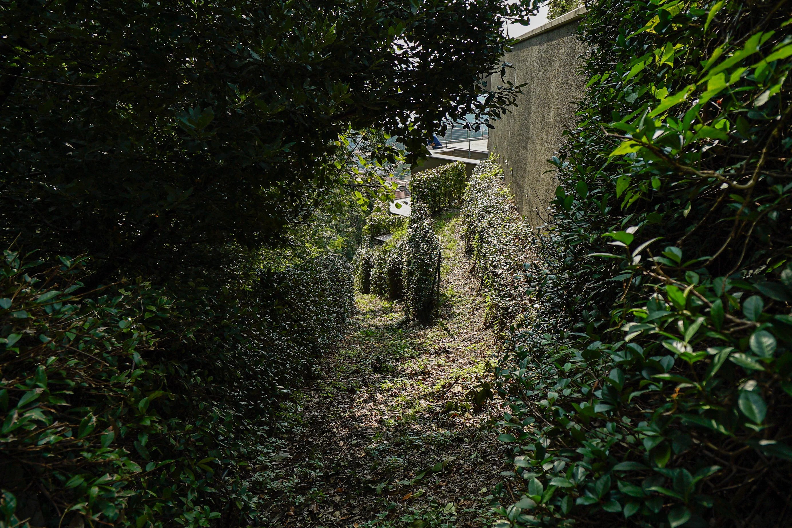 Villa Cernobbio - picture 16 title=