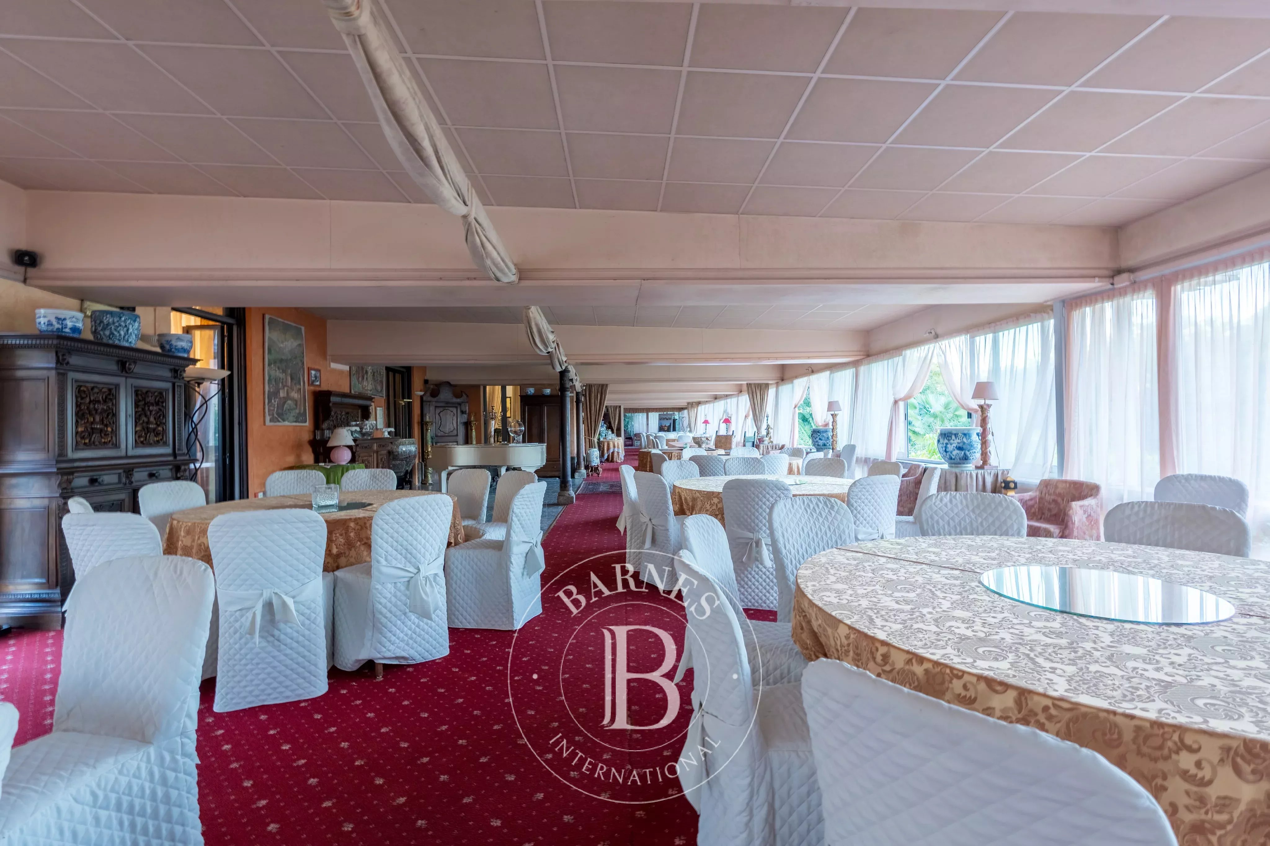 Saray Lesa - picture 11