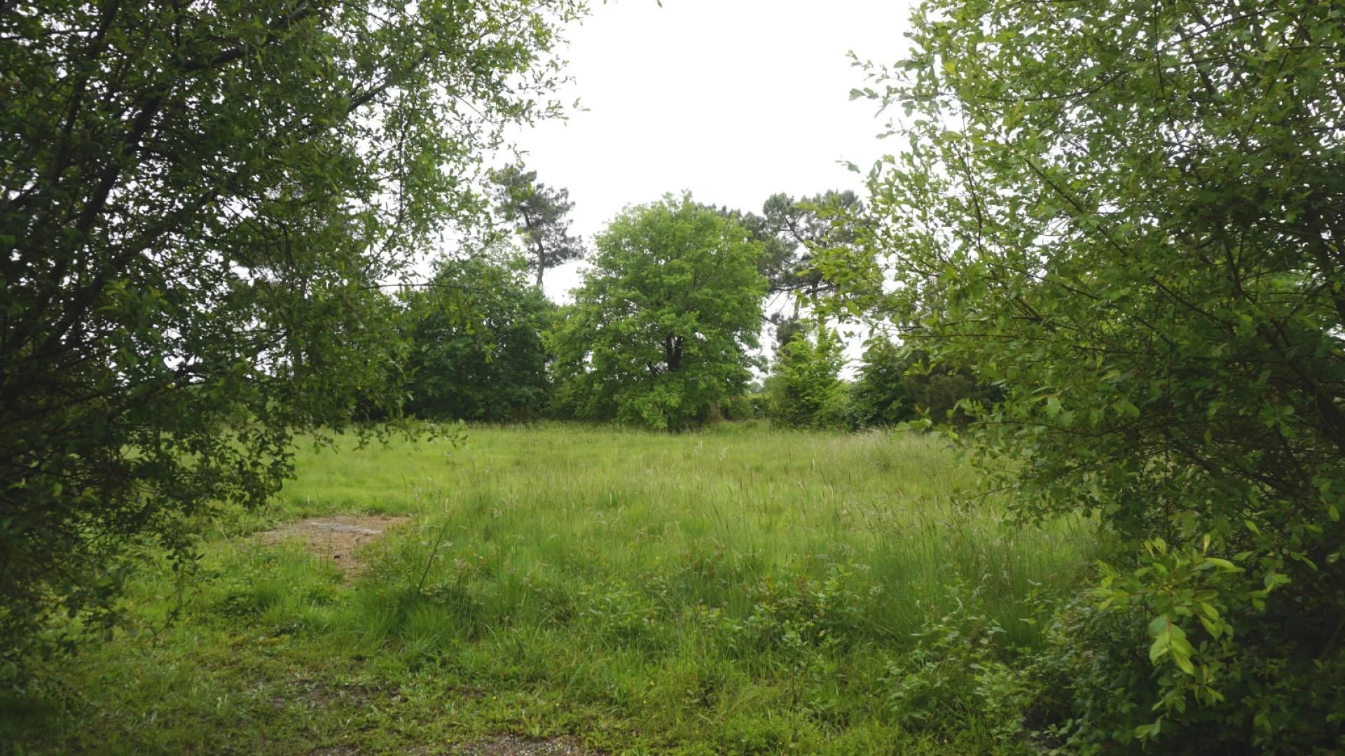 Vente Terrain Eauze