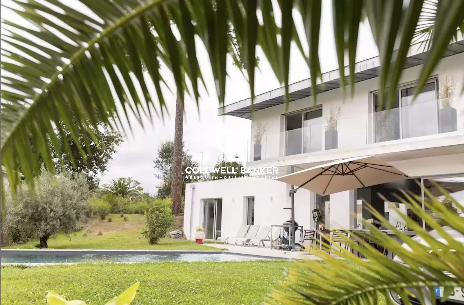Agence immobilière de Silver Coast Int. Realty
