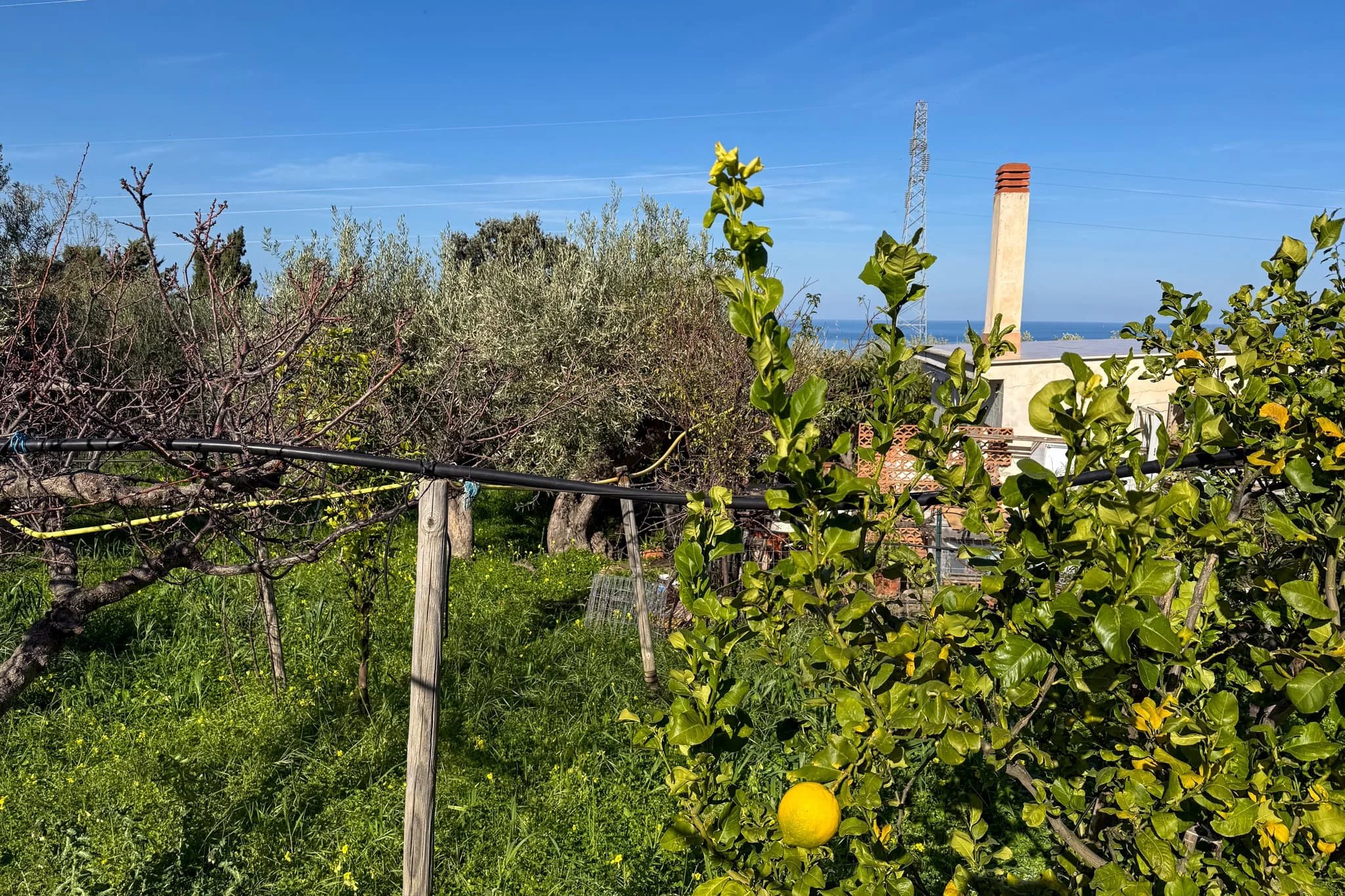 House in Torre Colonna-Sperone - Image 4