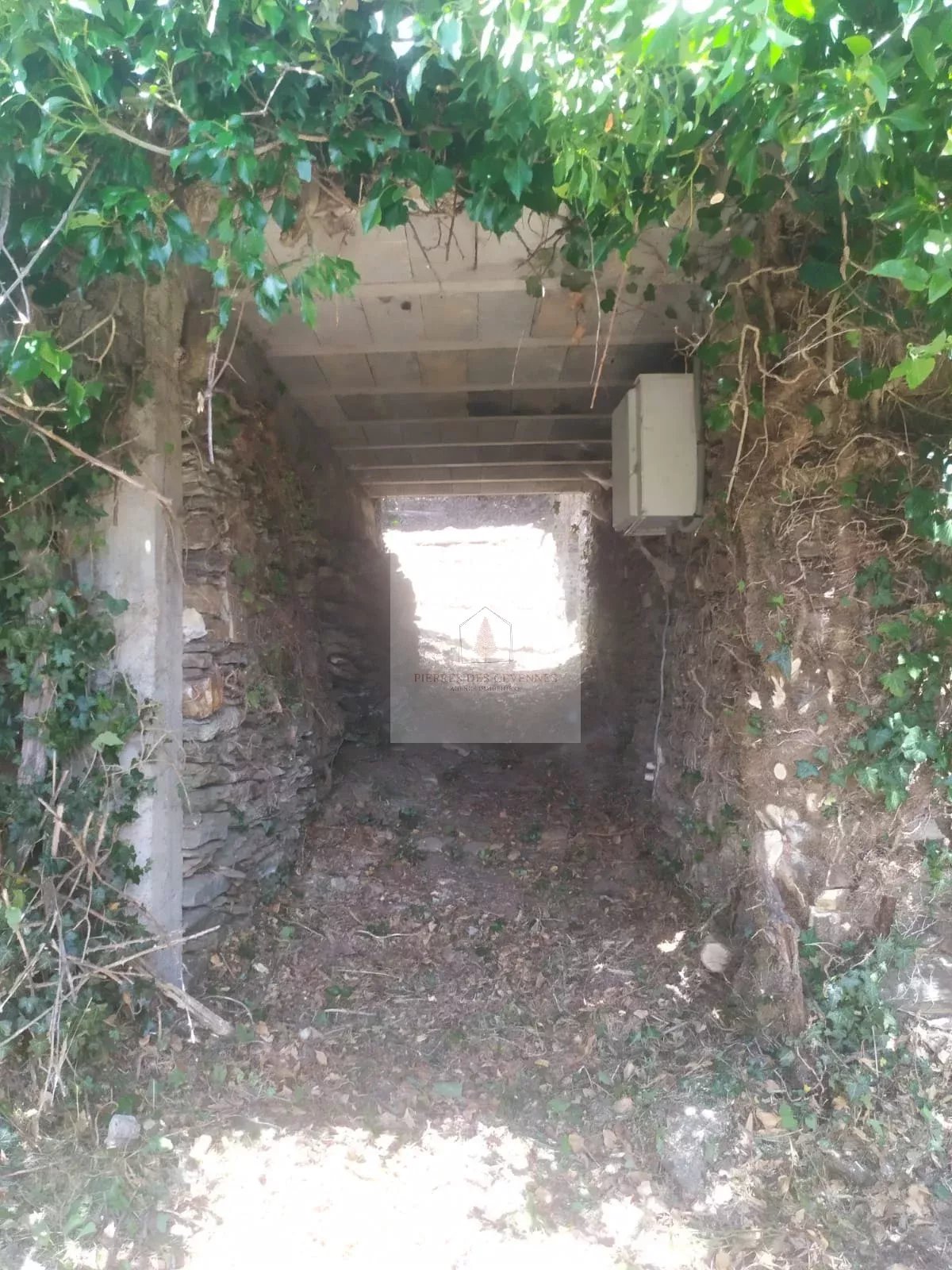 Vente Maison Saint-Hilaire-de-Lavit