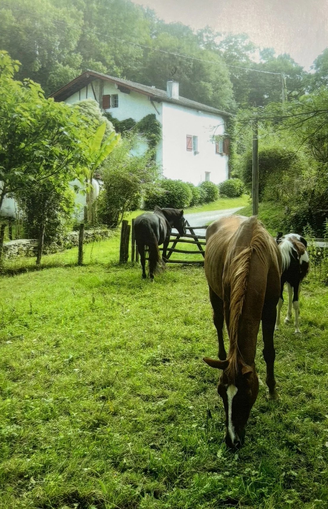 Vente Maison Cambo-les-Bains