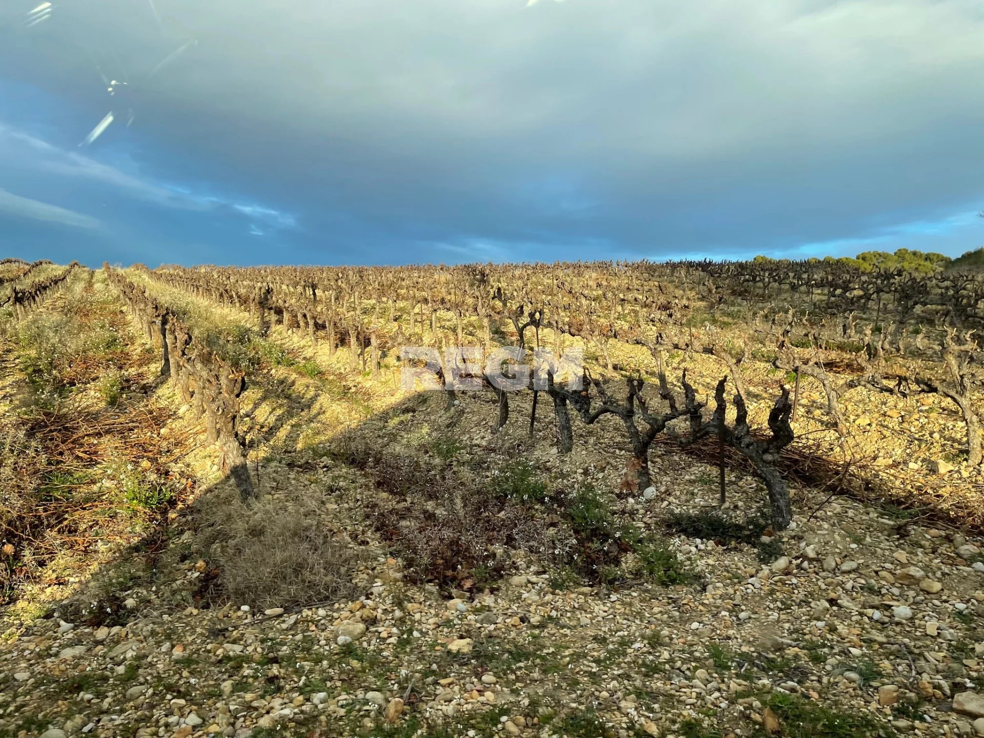 Vente Terrain Visan