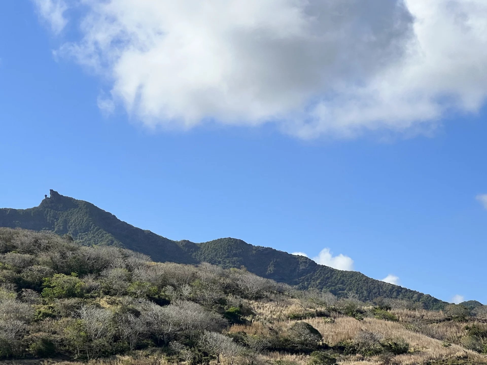GRAND SABLE - Mountain and sea view - 40 acres land