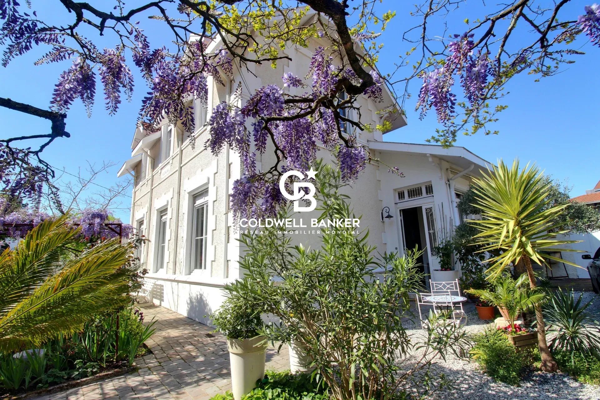 Agence immobilière de Silver Coast Int. Realty