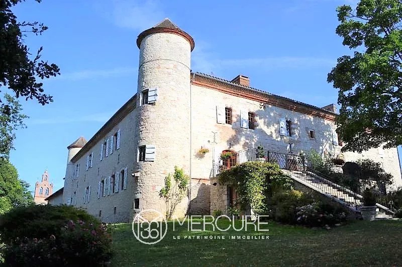 Renovated 15-18th centuries chateau - 8059TS