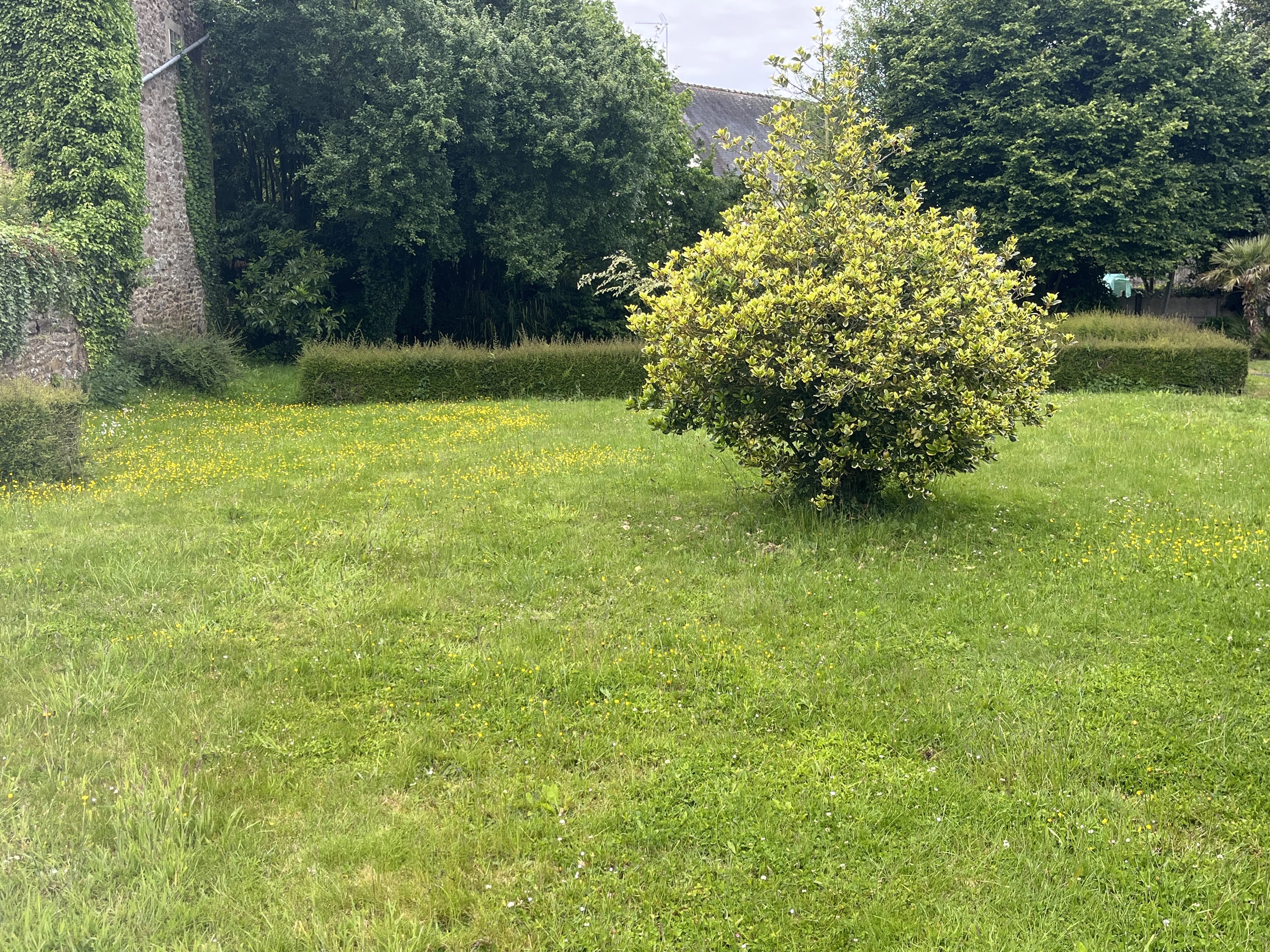 Terrain constructible viabilisé à La Vicomté-sur-Rance – Proche Rance, Dinan et Saint-Malo