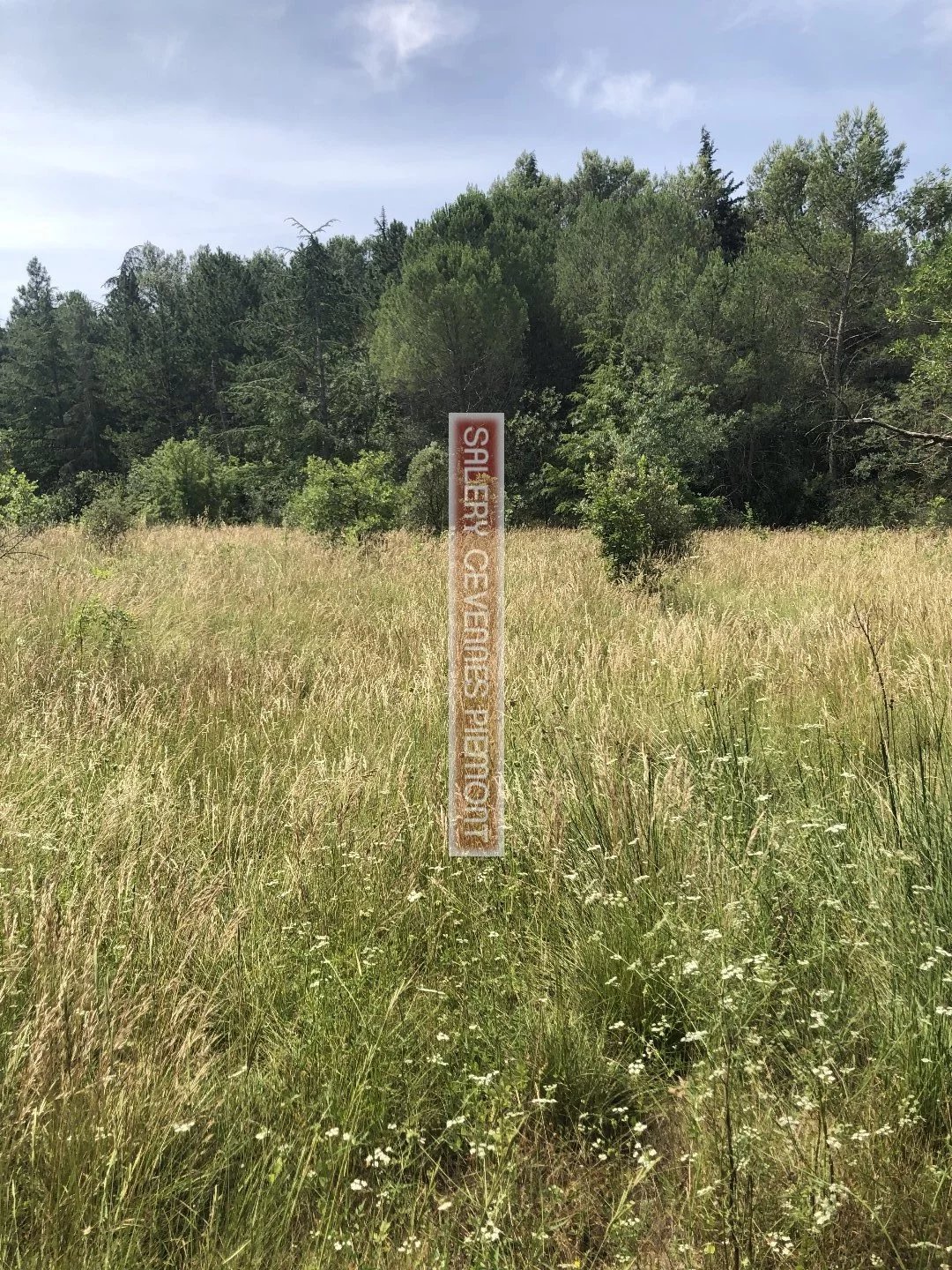 Vente Terrain Vic-le-Fesq