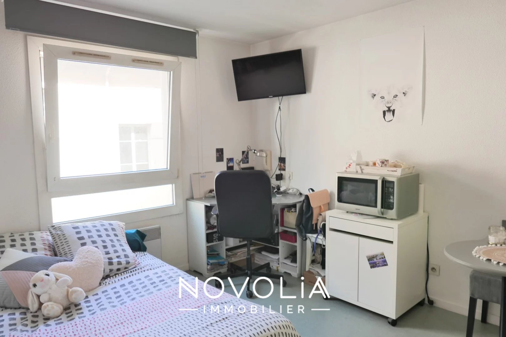 Achat Appartement Surface de 18.67 m�/ Total carrez : 18 m�, 1 pi�ce, Lyon 3�me (69003)