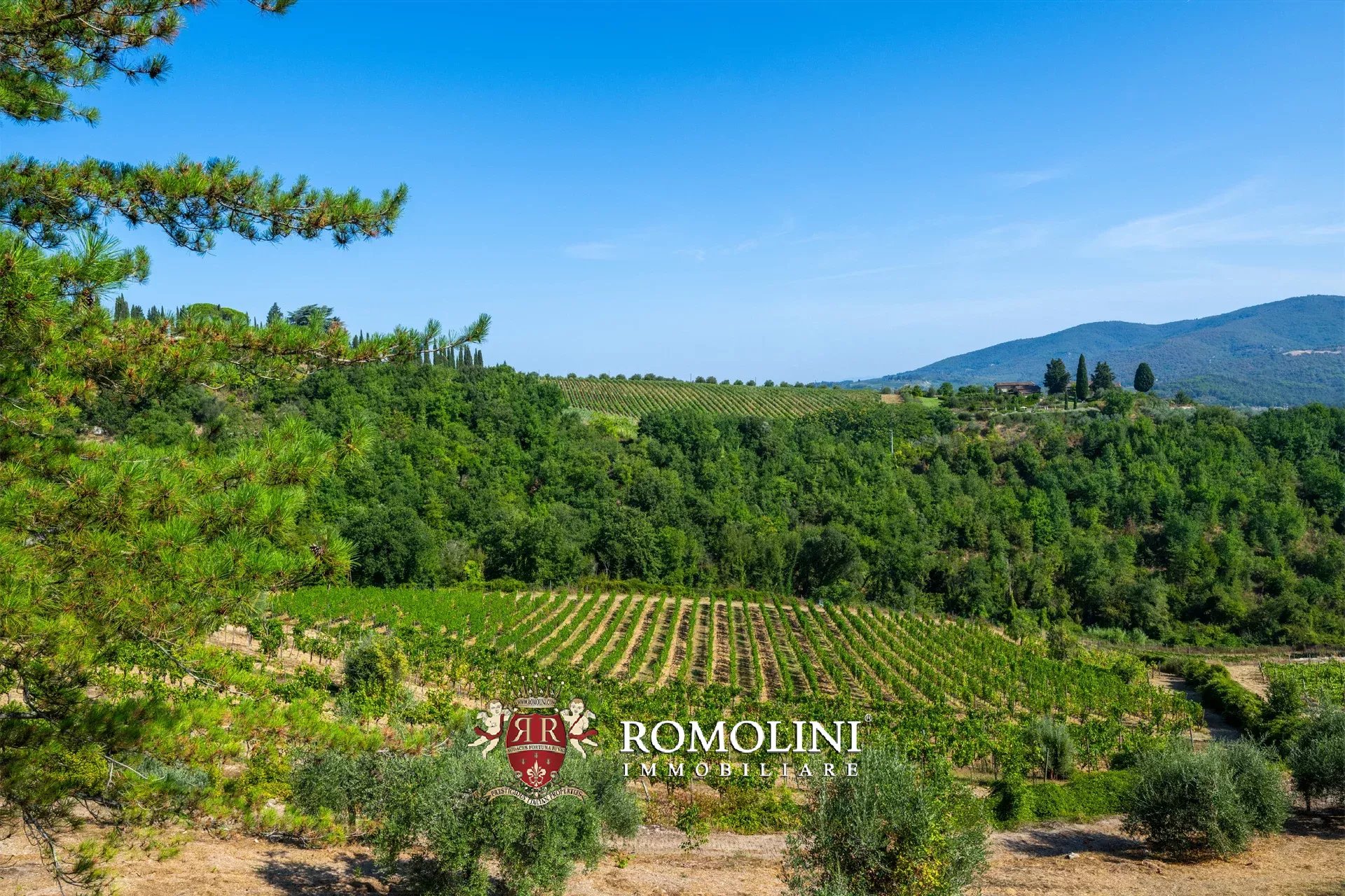 3 Bedroom Vineyard's Image 12