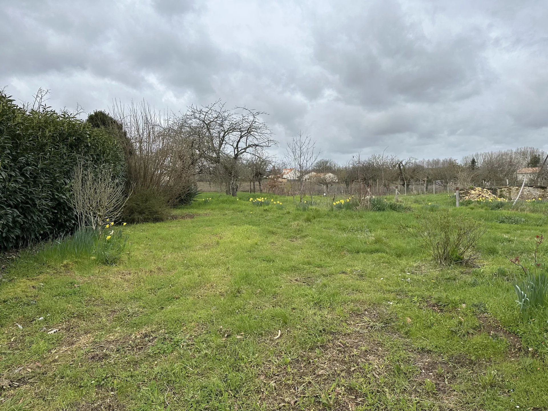 Vente Terrain constructible Gençay