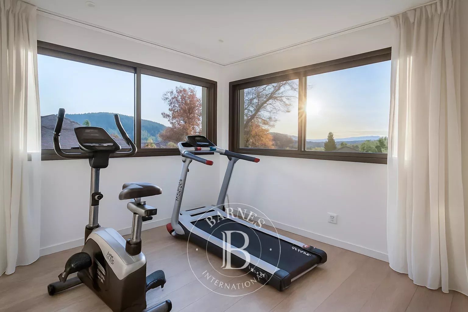 Ev Annecy - picture 18