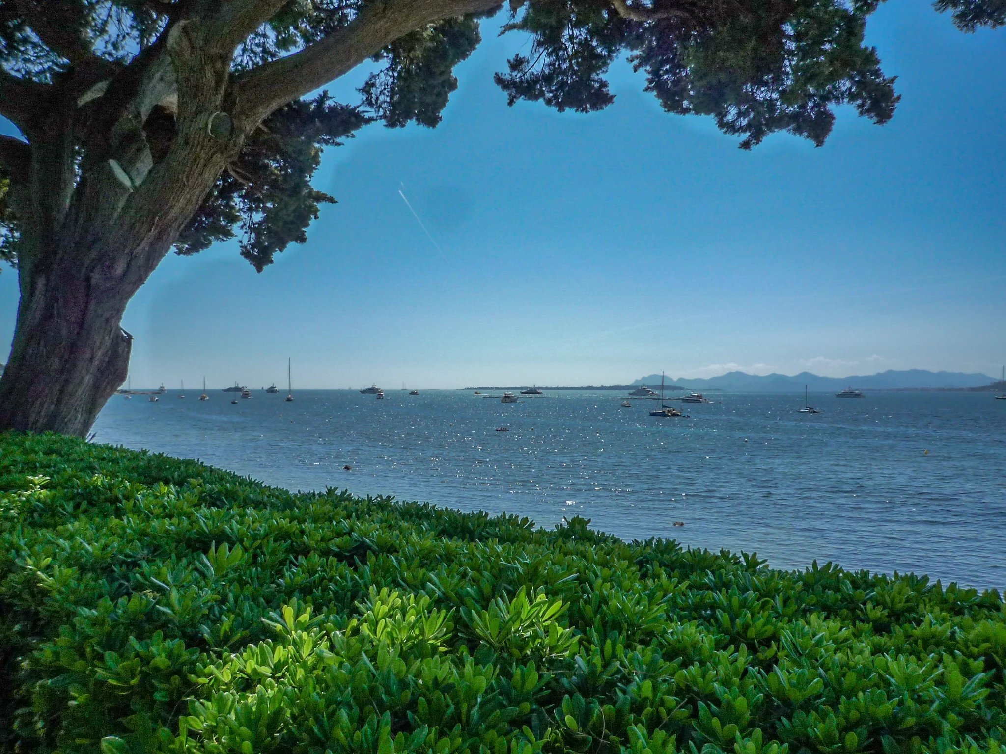 Cap d'Antibes | Versant Ouest