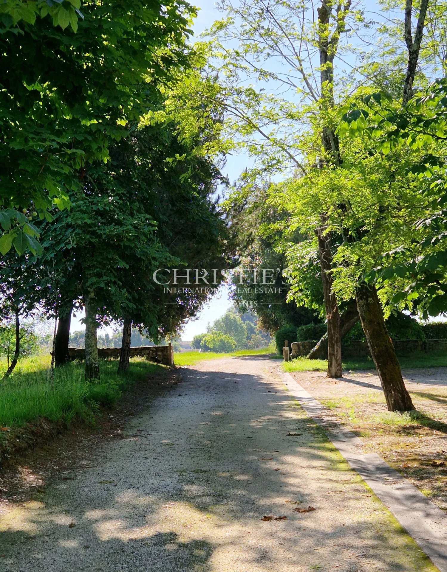 7 Bedroom Vineyard's Image 7