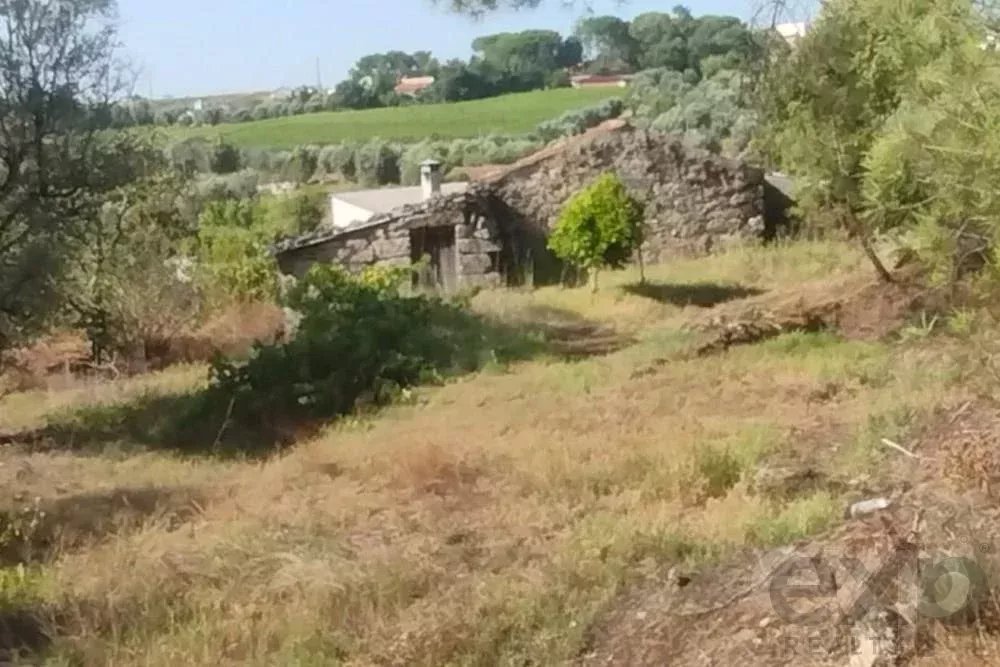 Venda Terreno Vilar Seco Vilar Seco