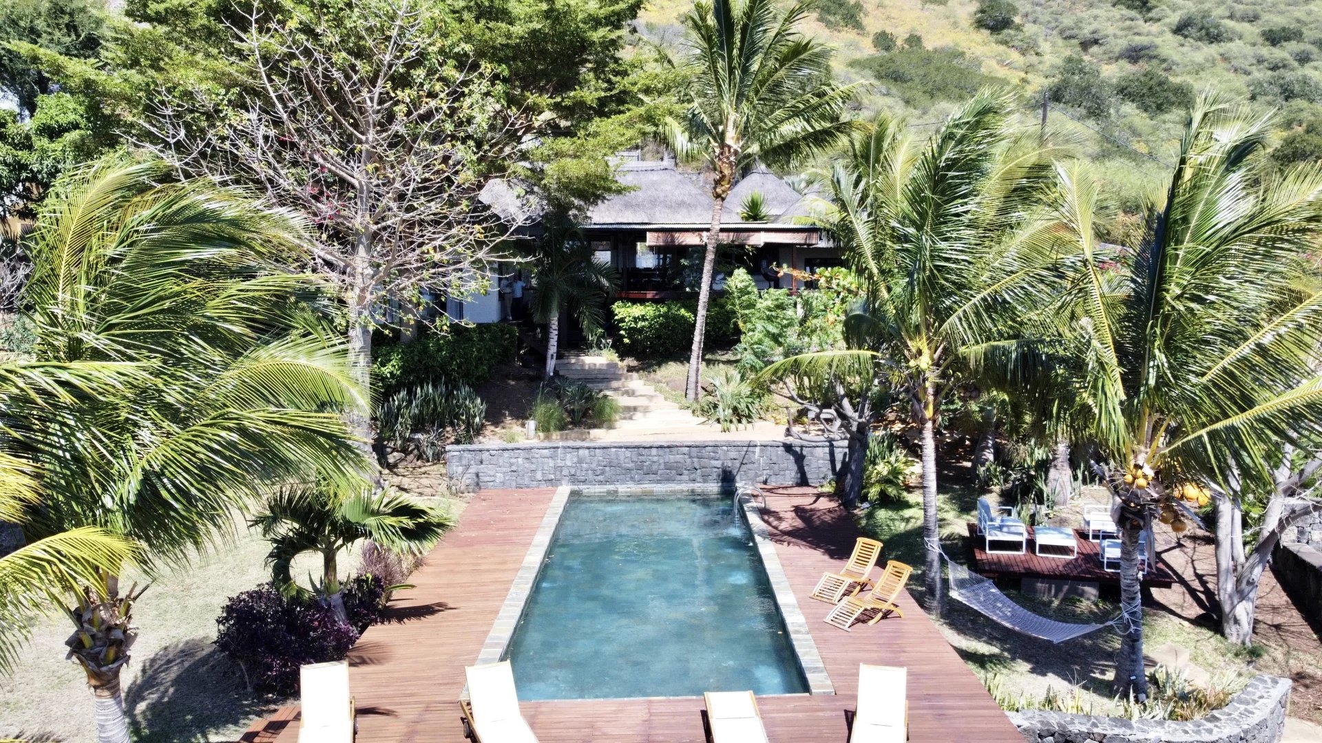 Ev Tamarin - picture 15