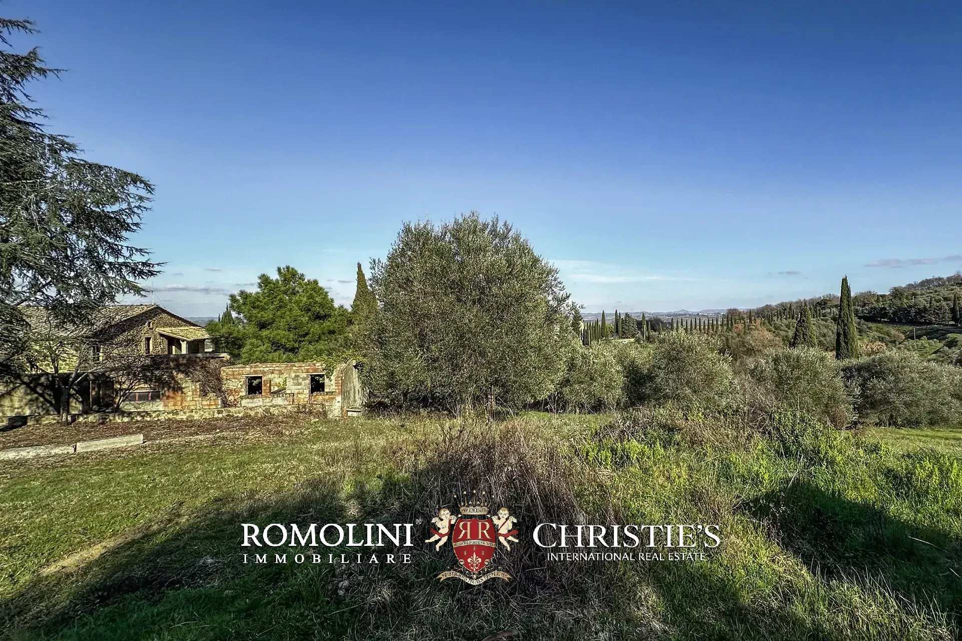 4 Bedroom Vineyard's Image 14