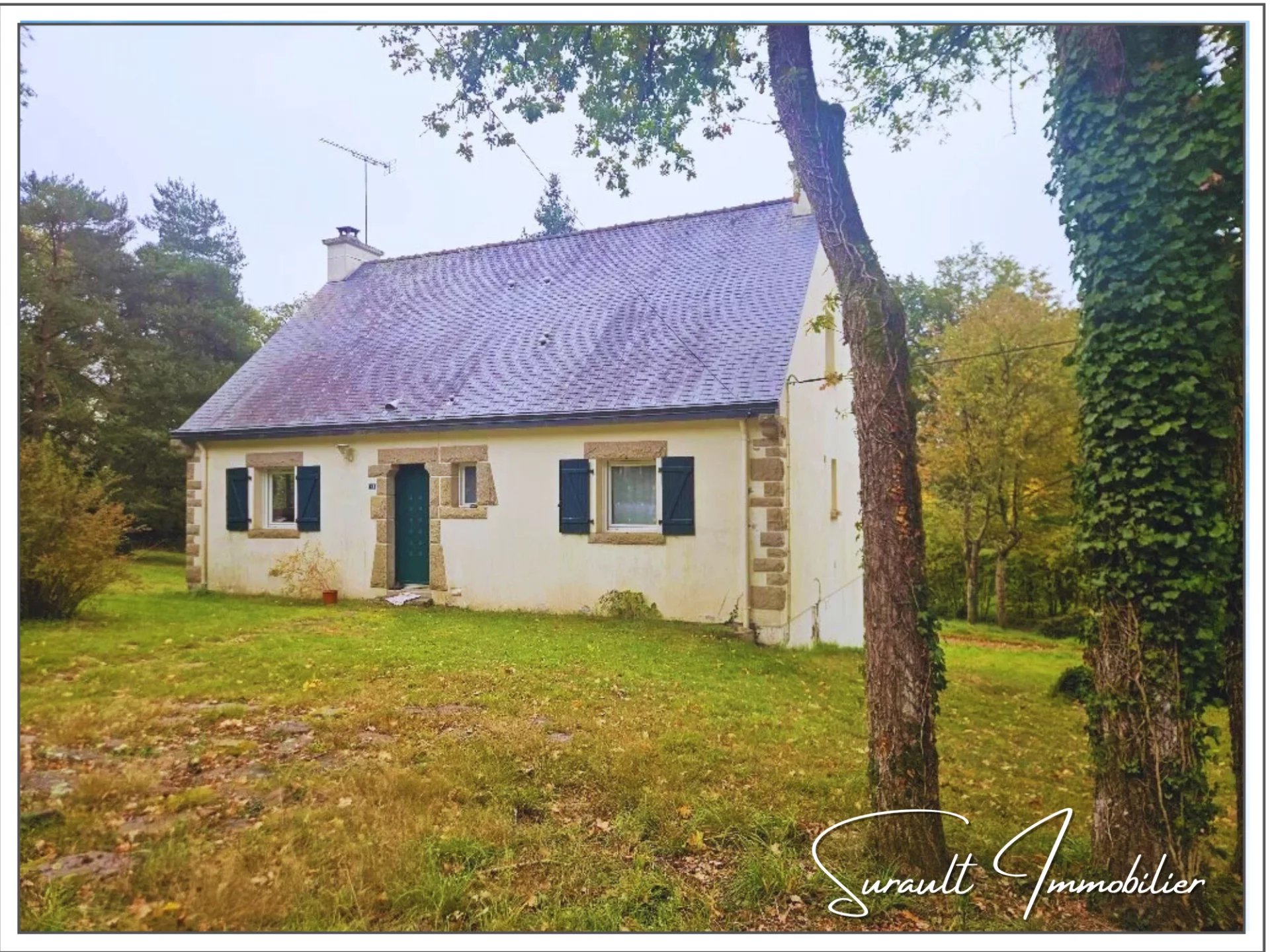 Agence immobilière de 