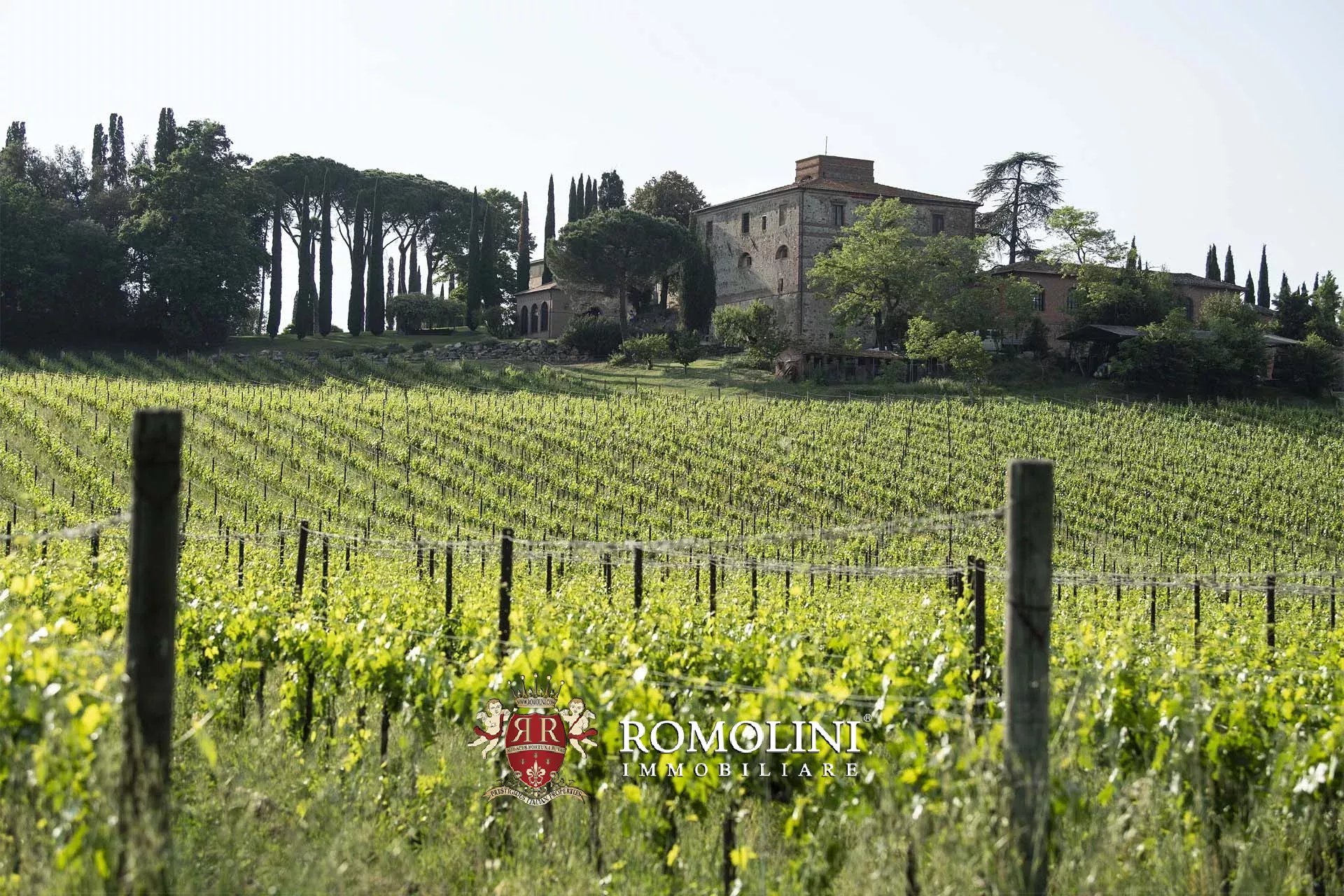 20 Bedroom Vineyard's Image 20
