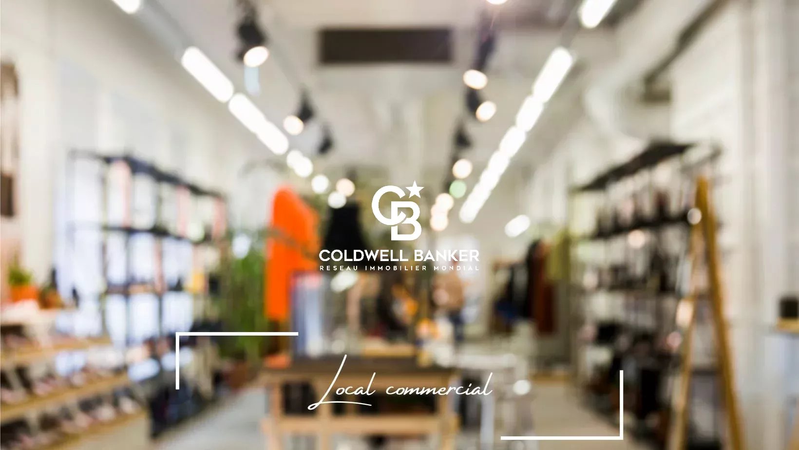 Agence immobilière de Silver Coast Int. Realty
