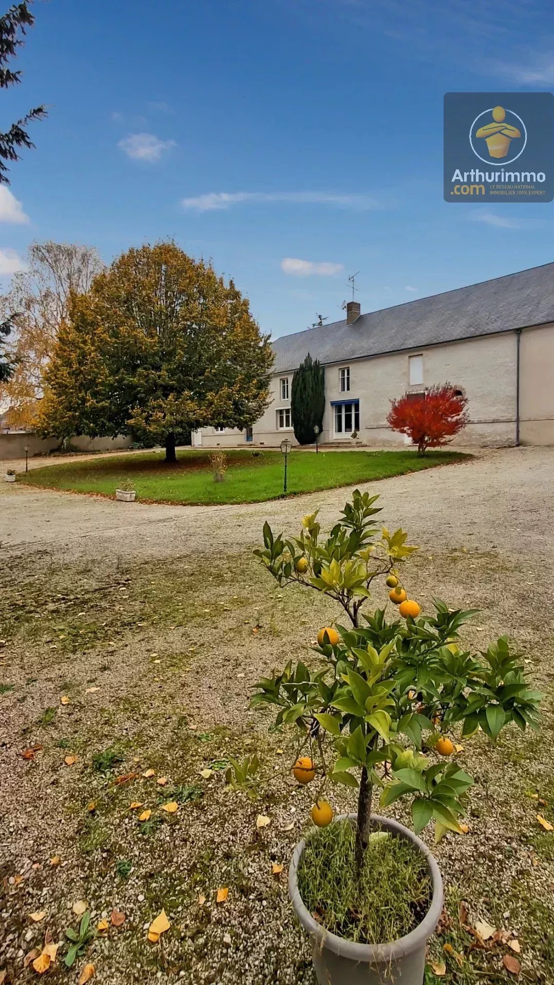 Maison de caractère avec dépendances sur 1,4 hectare arboré — photo 9