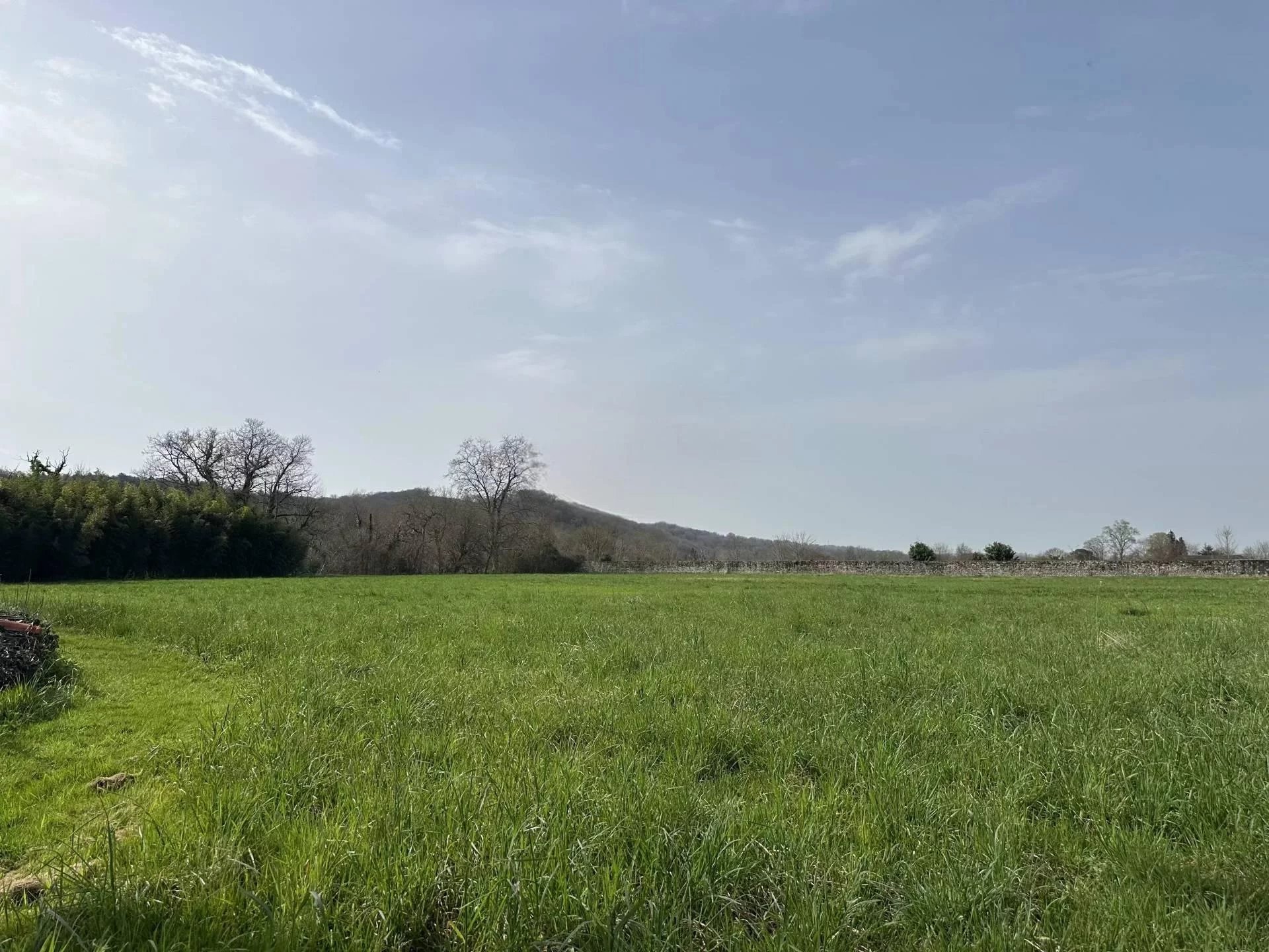 Maison 400m² de Maître sur 2 hectares - Sauveterre-de-Béarn (64390)