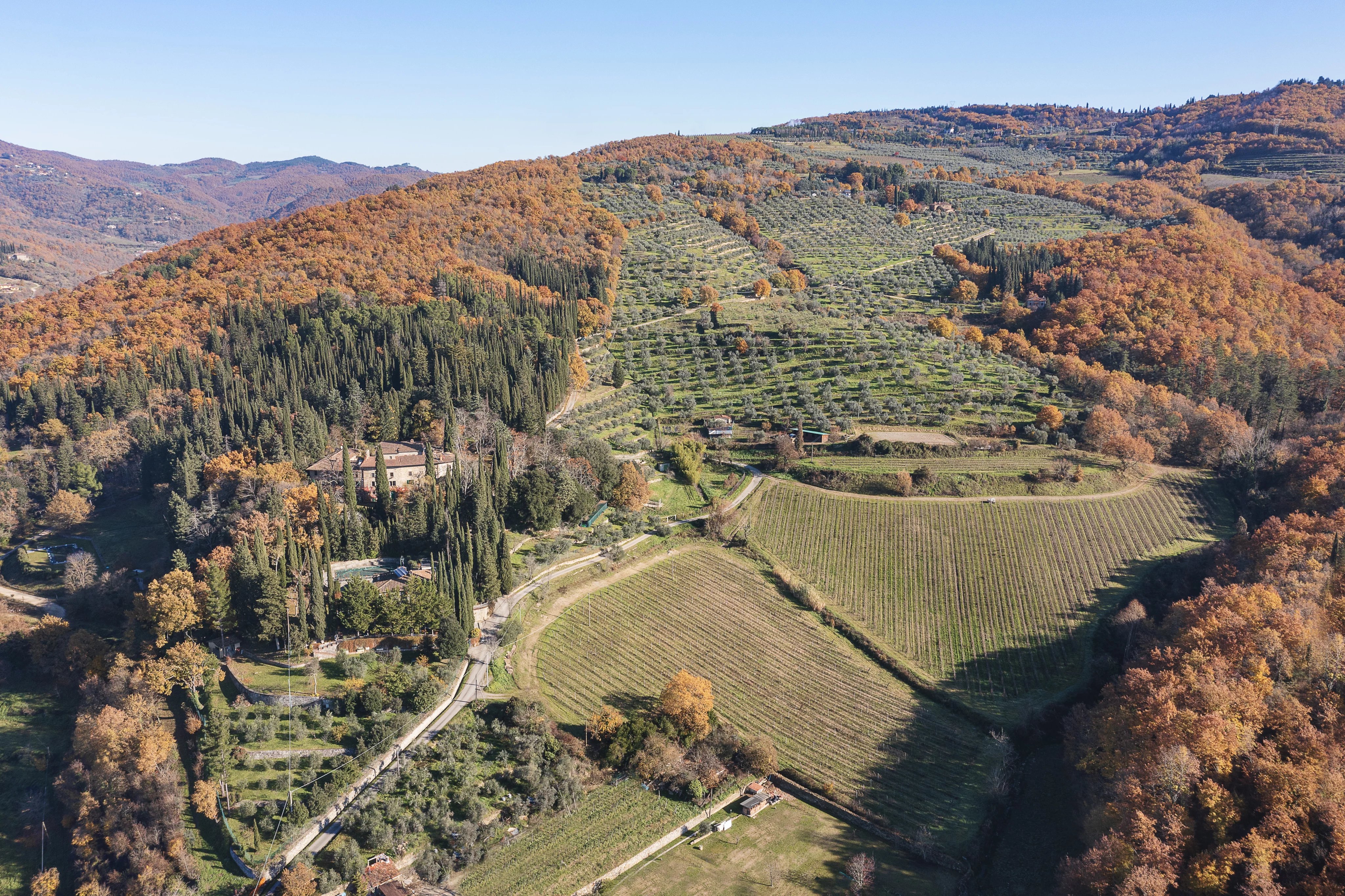 Mülkiyet Arezzo