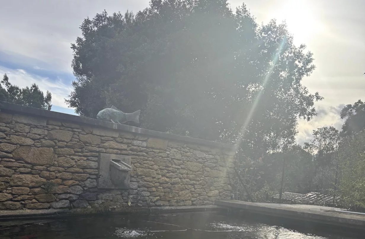 Agence immobilière de Sandrine Diouf Immobilier