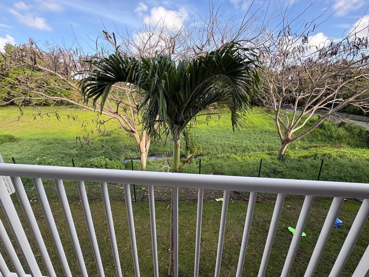 Location Appartement Les Abymes