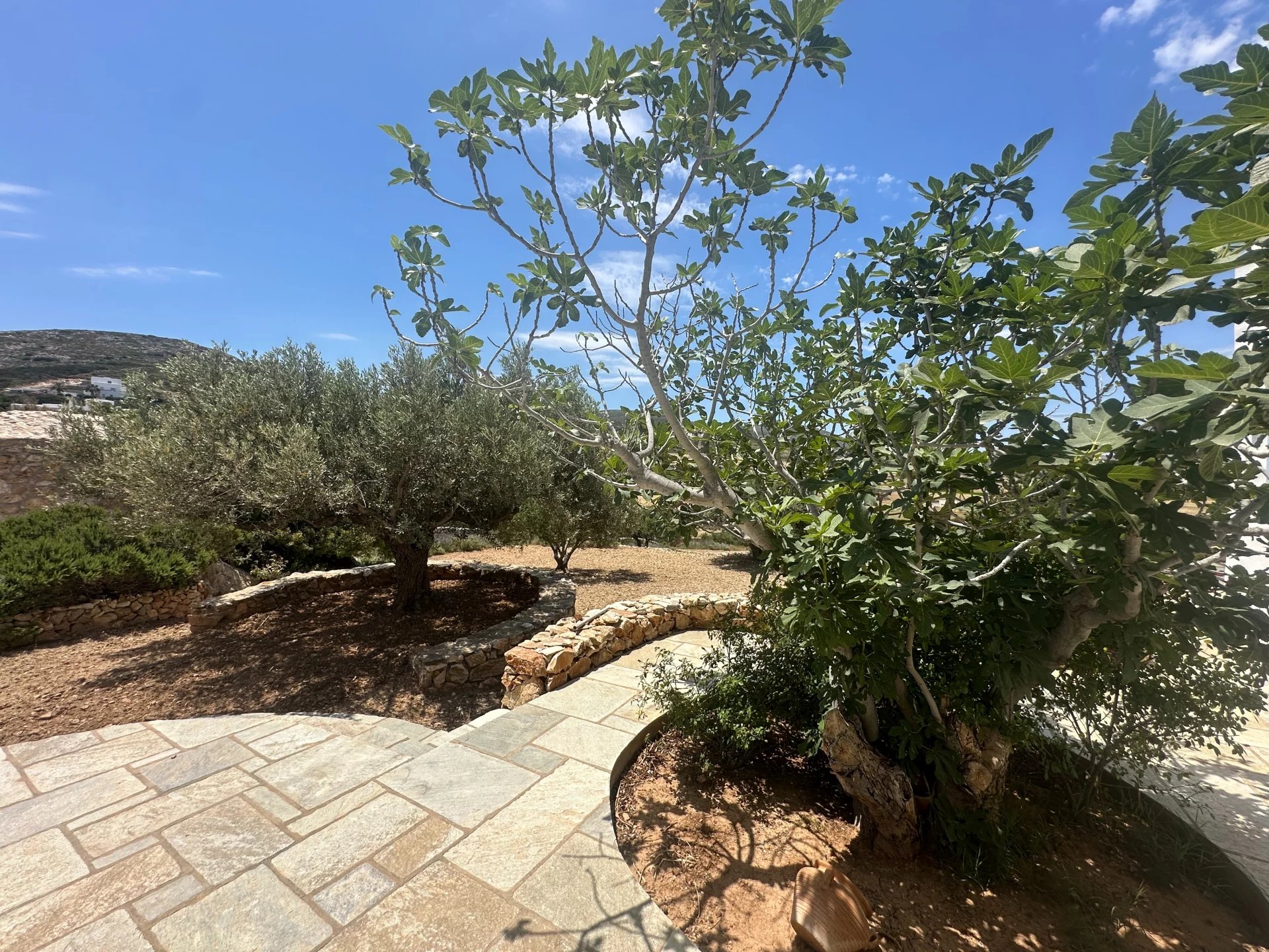 Εικόνα ιδιοκτησίας 82