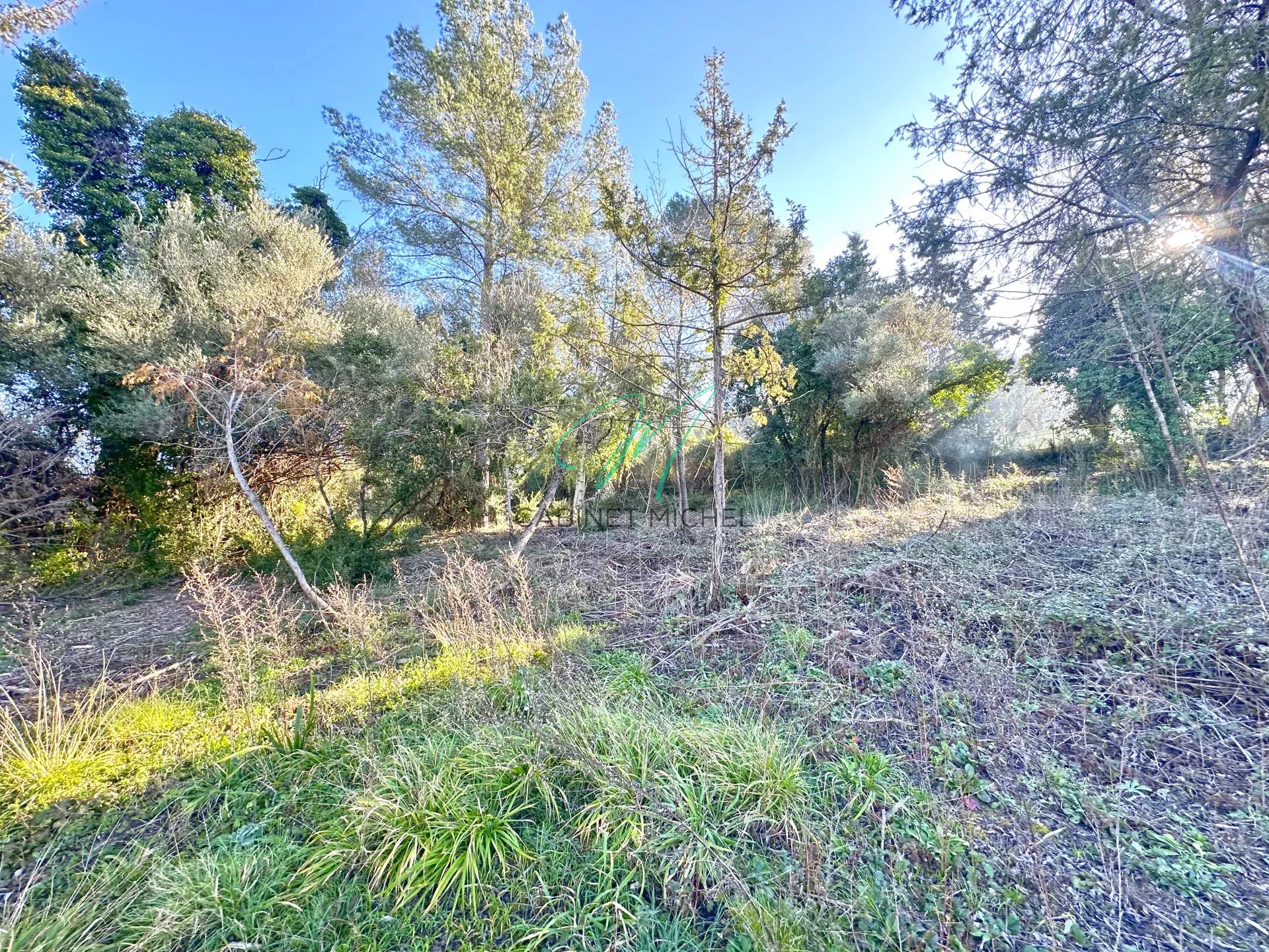 ROQUEFORT-LES-PINS - Secteur campagne