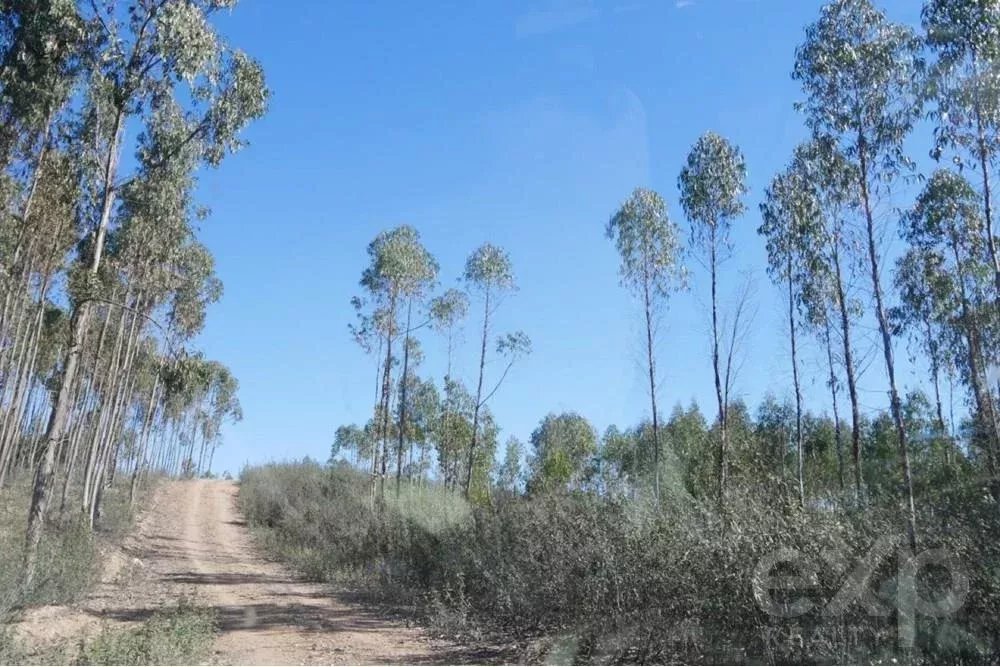 Exceptional 65-Hectare Estate in Alentejo with Tourism Development Potential 85506160 image 26