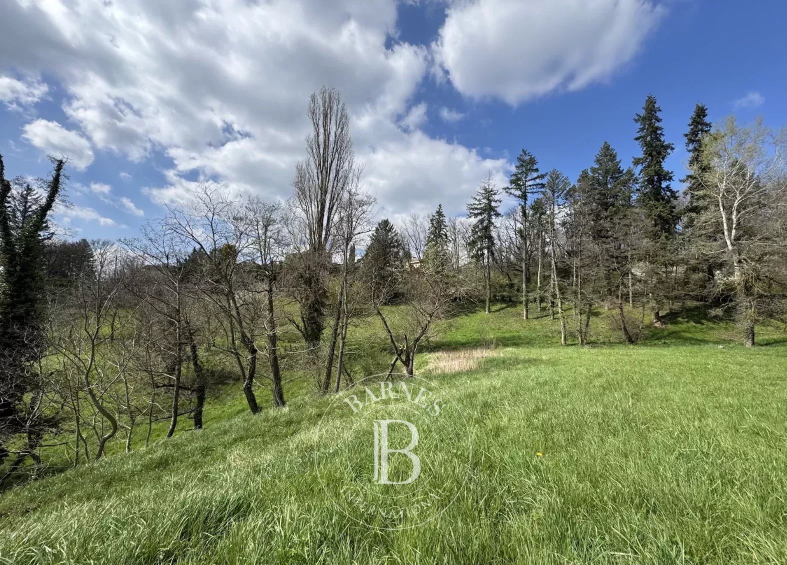 Terrain constructible Limonest - picture 1