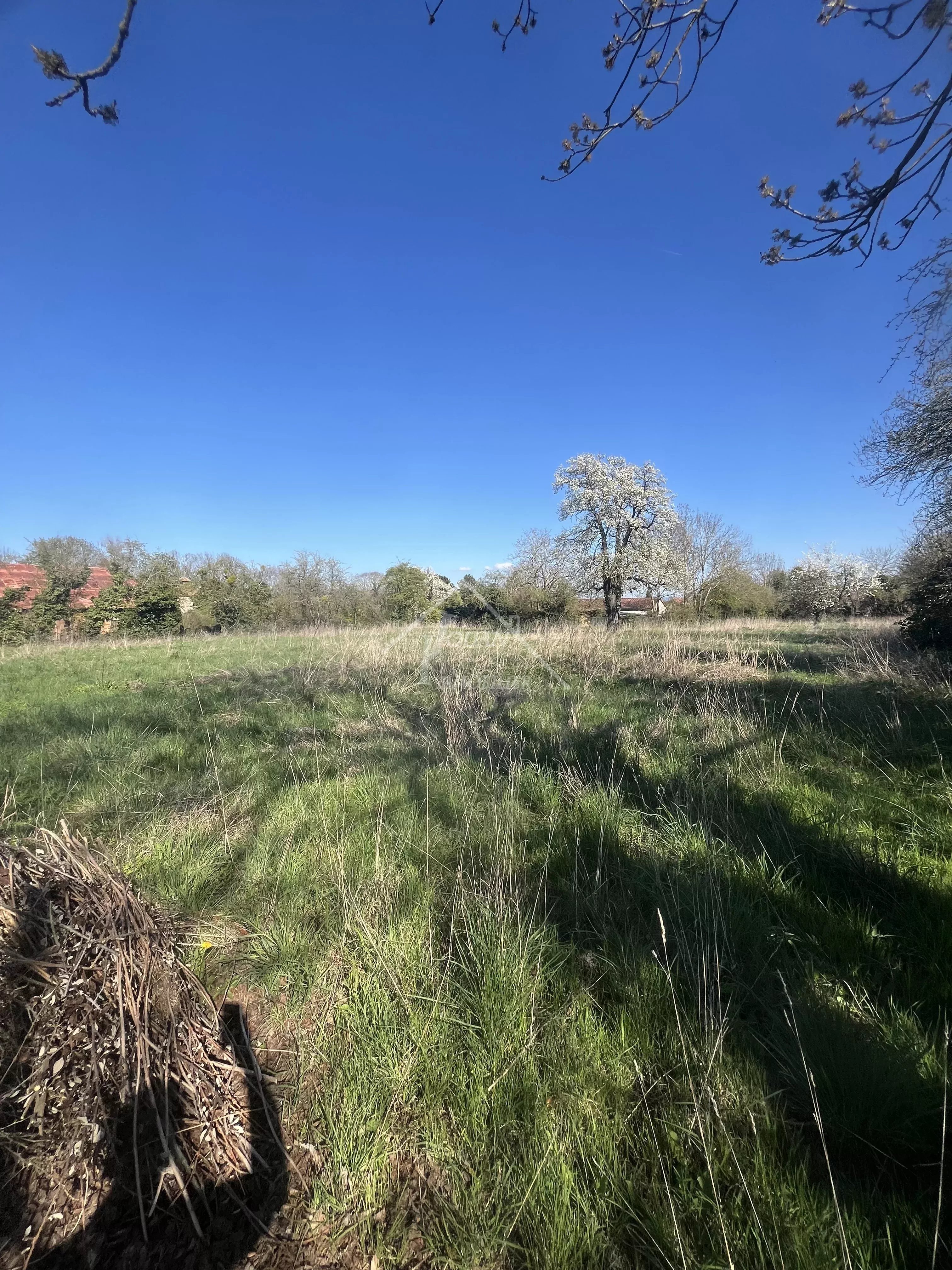 Agence immobilière de Jouan Immobilier