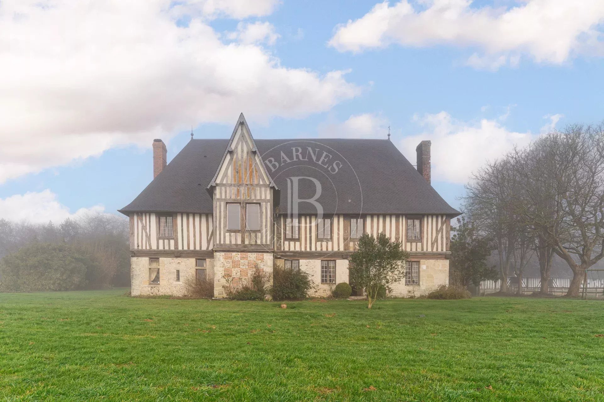 Manoir Marolles  -  ref 85515223 (picture 2)