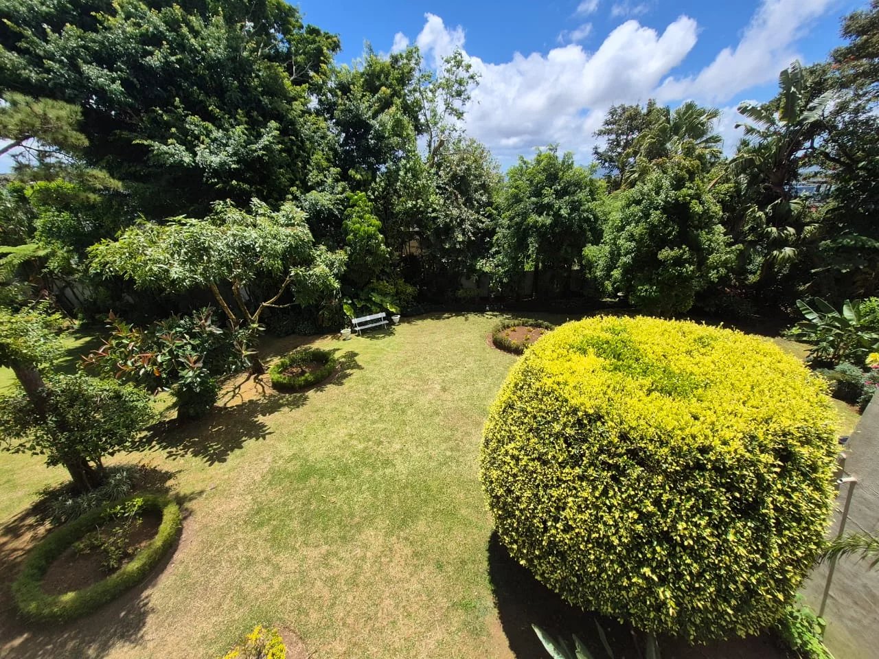 Appartement Floréal - picture 2