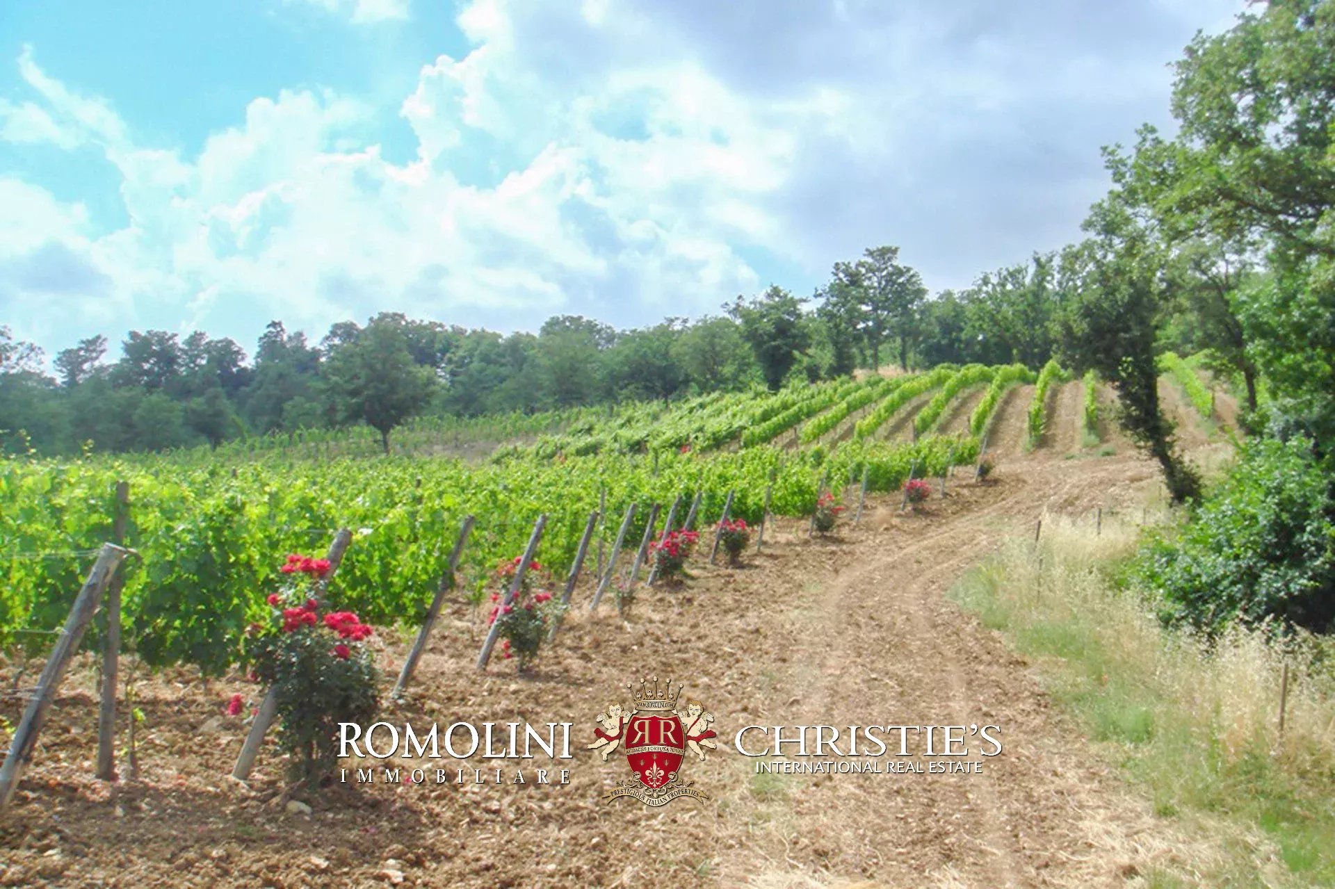 8 Bedroom Vineyard's Image 6
