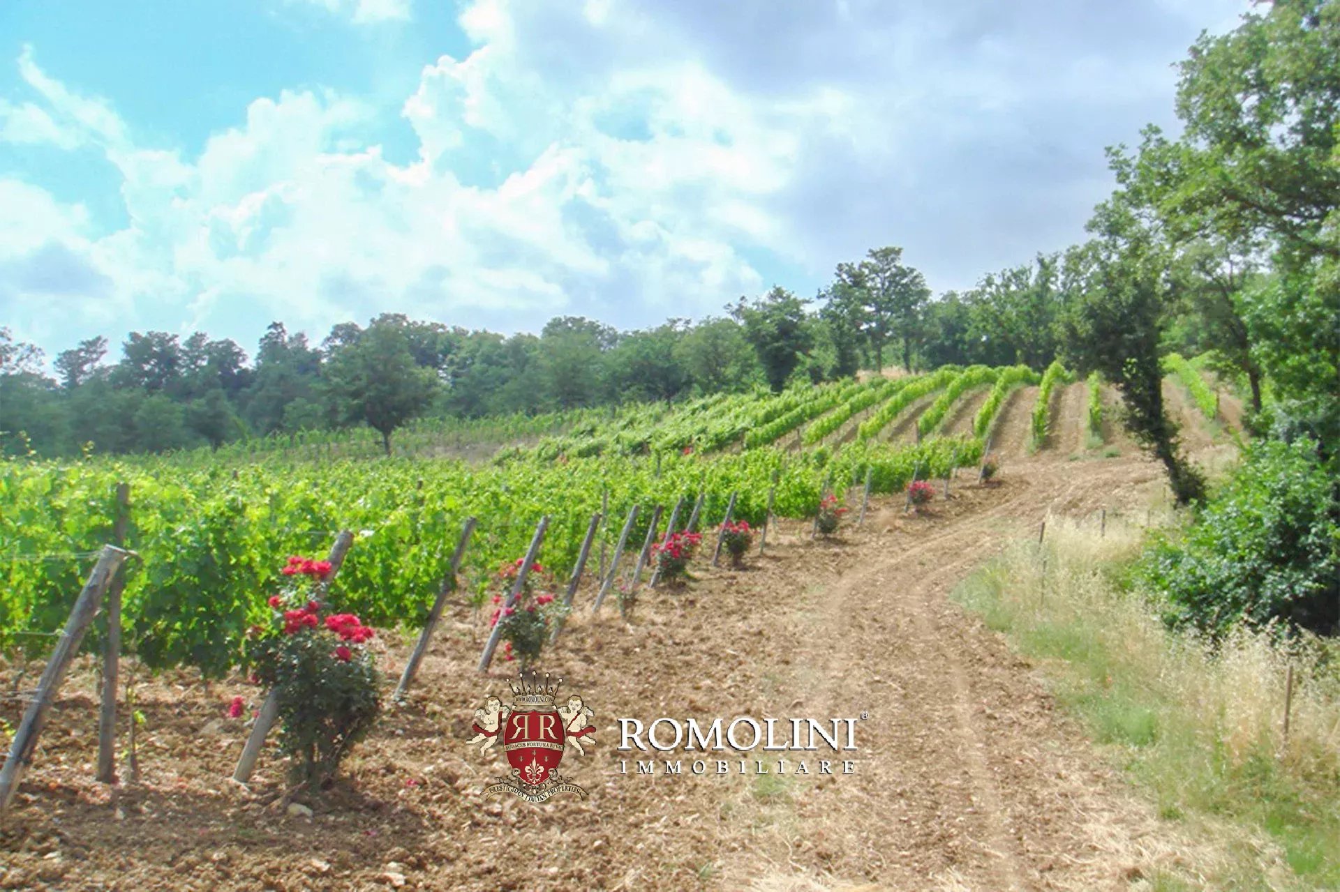 8 Bedroom Vineyard's Image 6