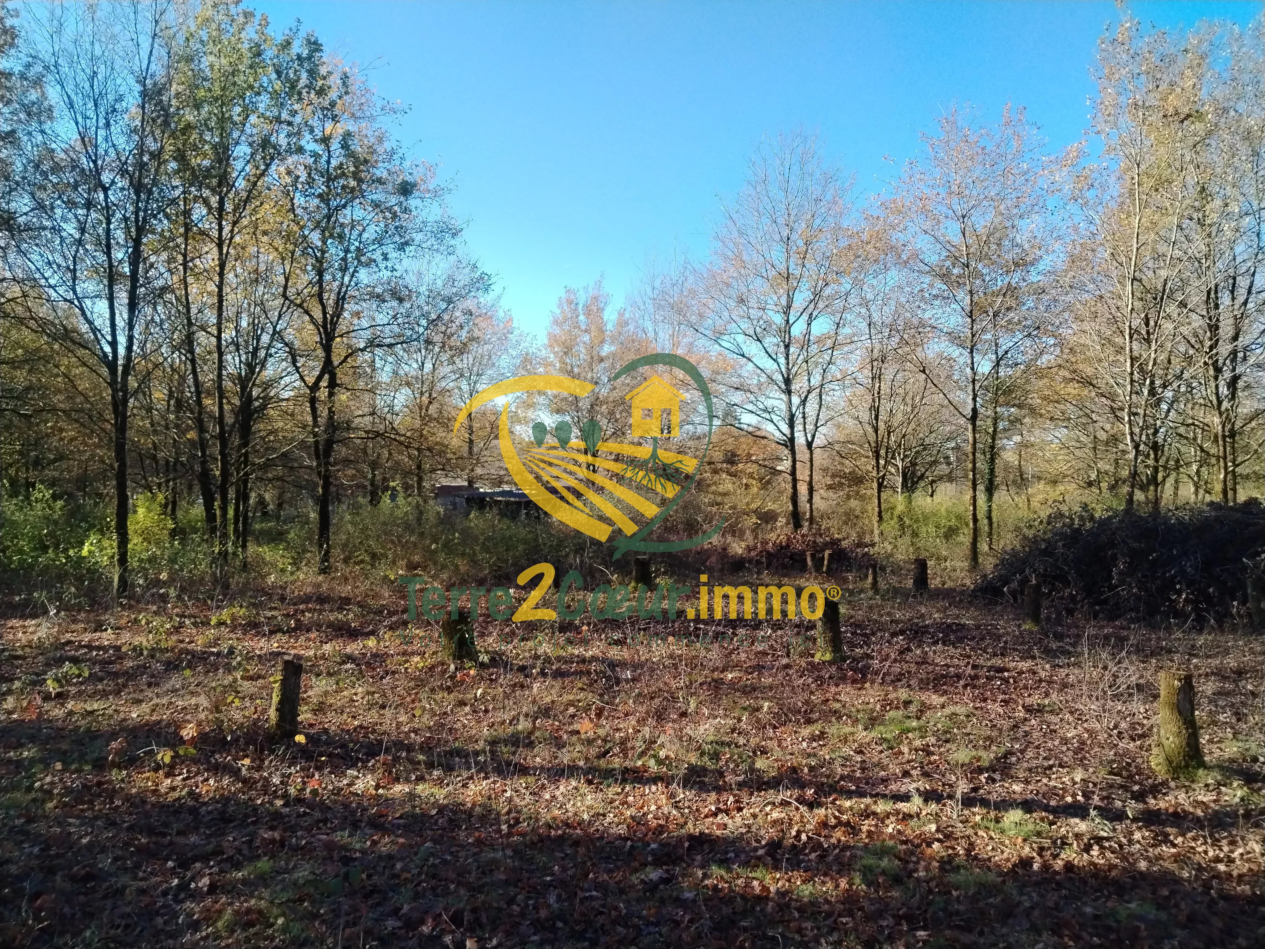 Agence immobilière de Monsieur Jérémy Garcia