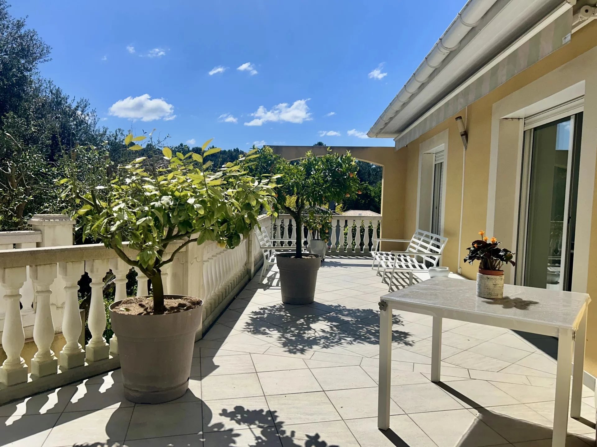 Agence immobilière de Silver Coast Int. Realty