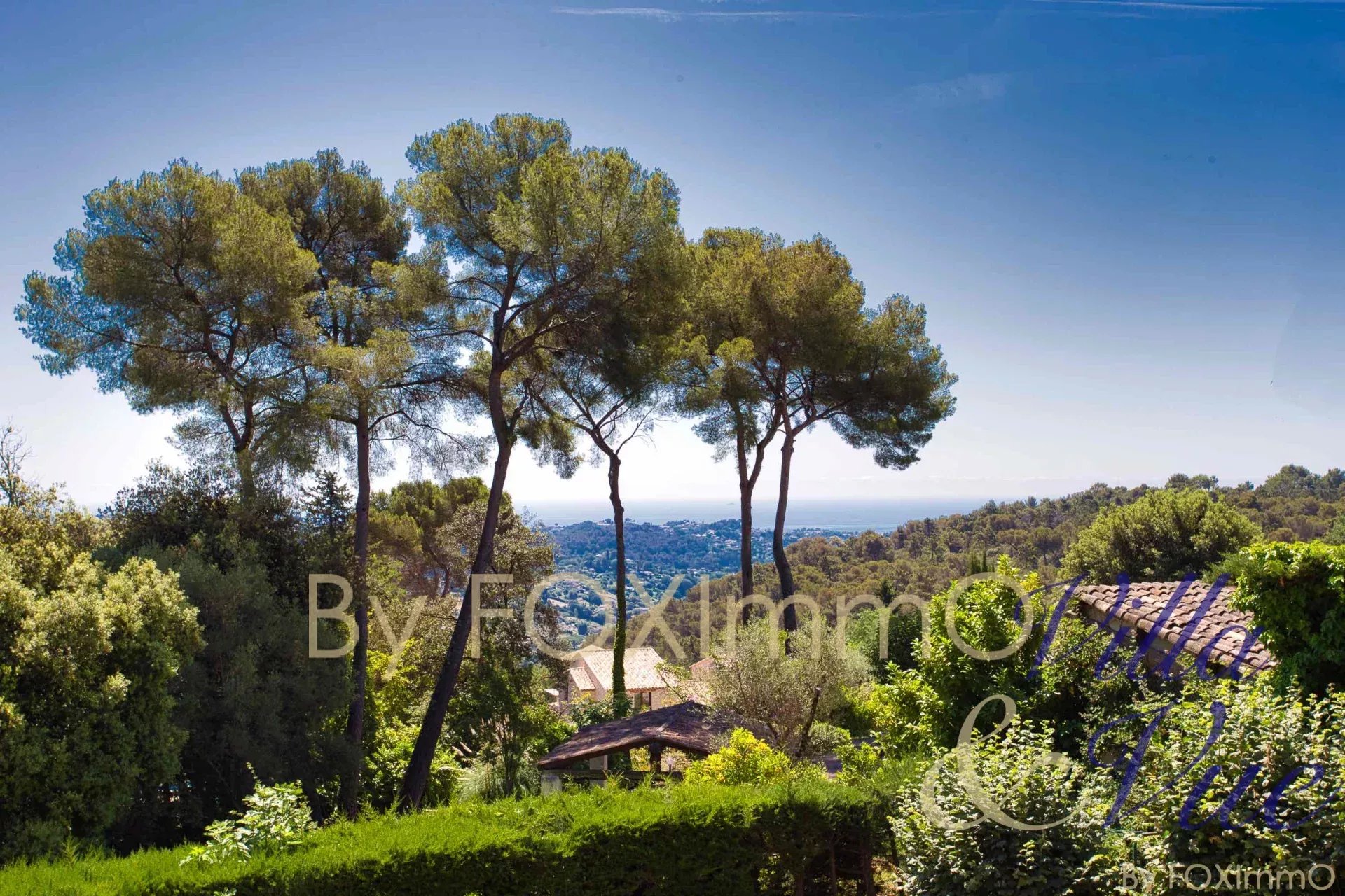 Agence immobilière de Foximmo