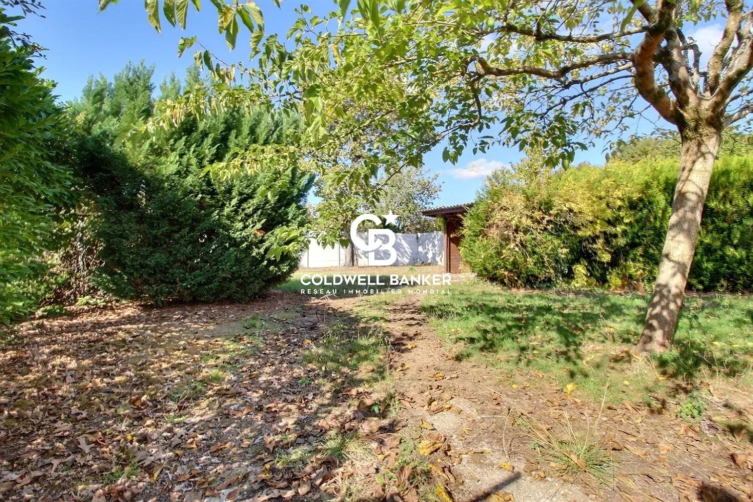 Agence immobilière de Silver Coast Int. Realty