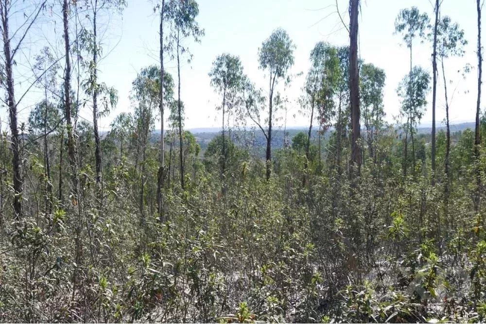 Exceptional 65-Hectare Estate in Alentejo with Tourism Development Potential 85506160 image 25